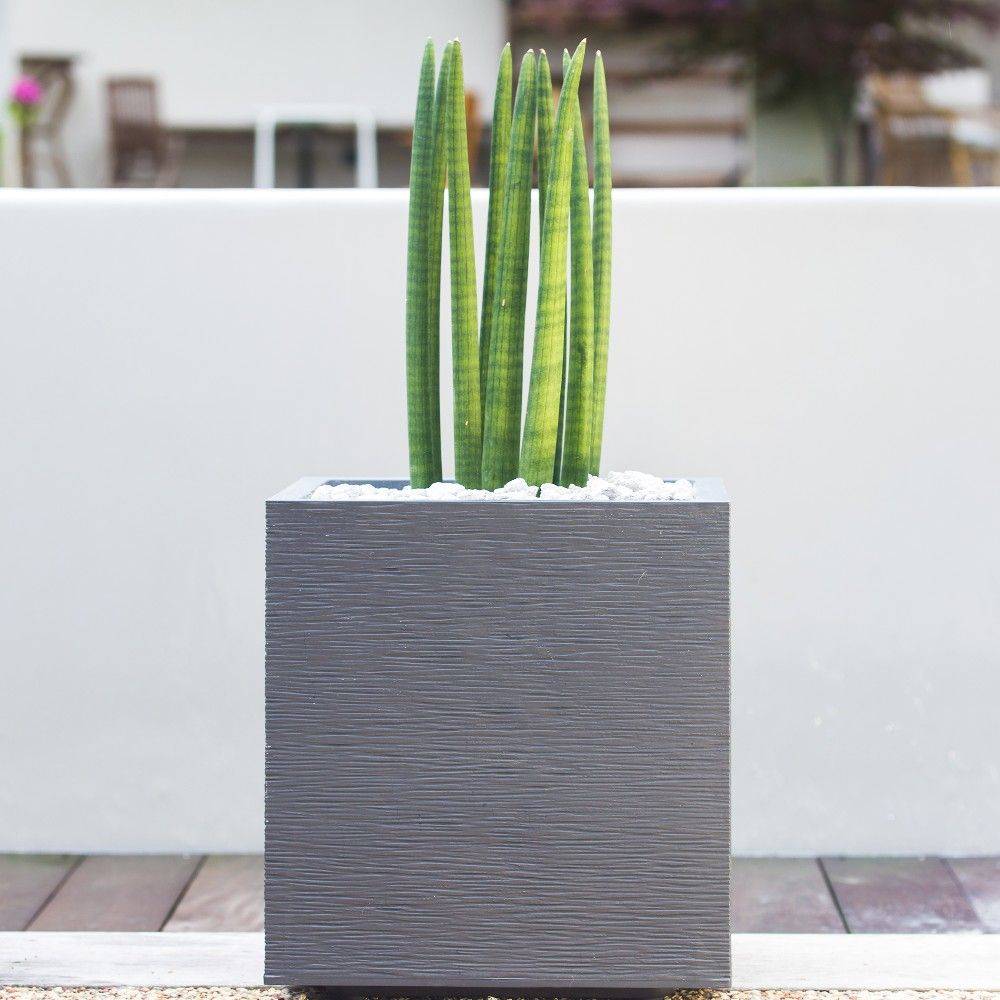 EDA Plastiques - Pot de fleurs carré graphit gris L39.5 x l39.5 x H43.5 cm - Image 5