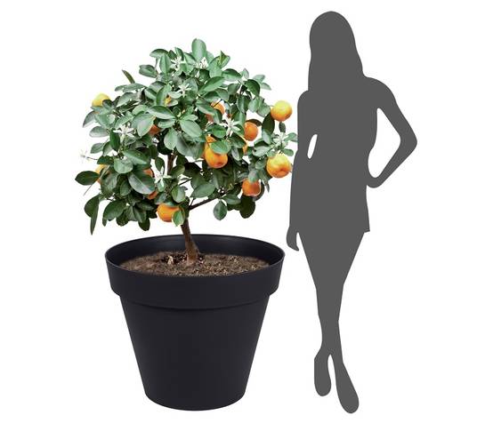 EDA Plastiques - Pot de fleurs Rond EDA