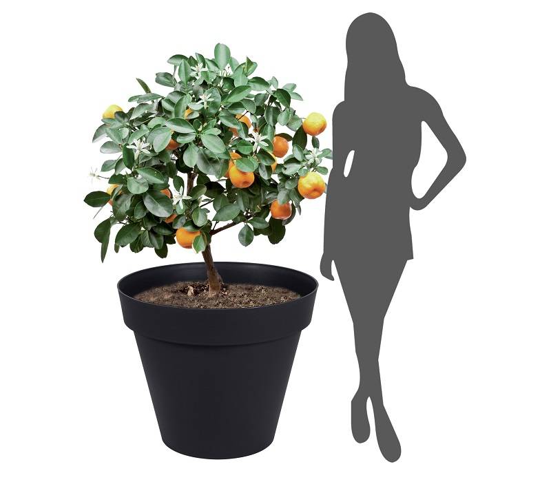 EDA Plastiques - Pot de fleurs Rond EDA