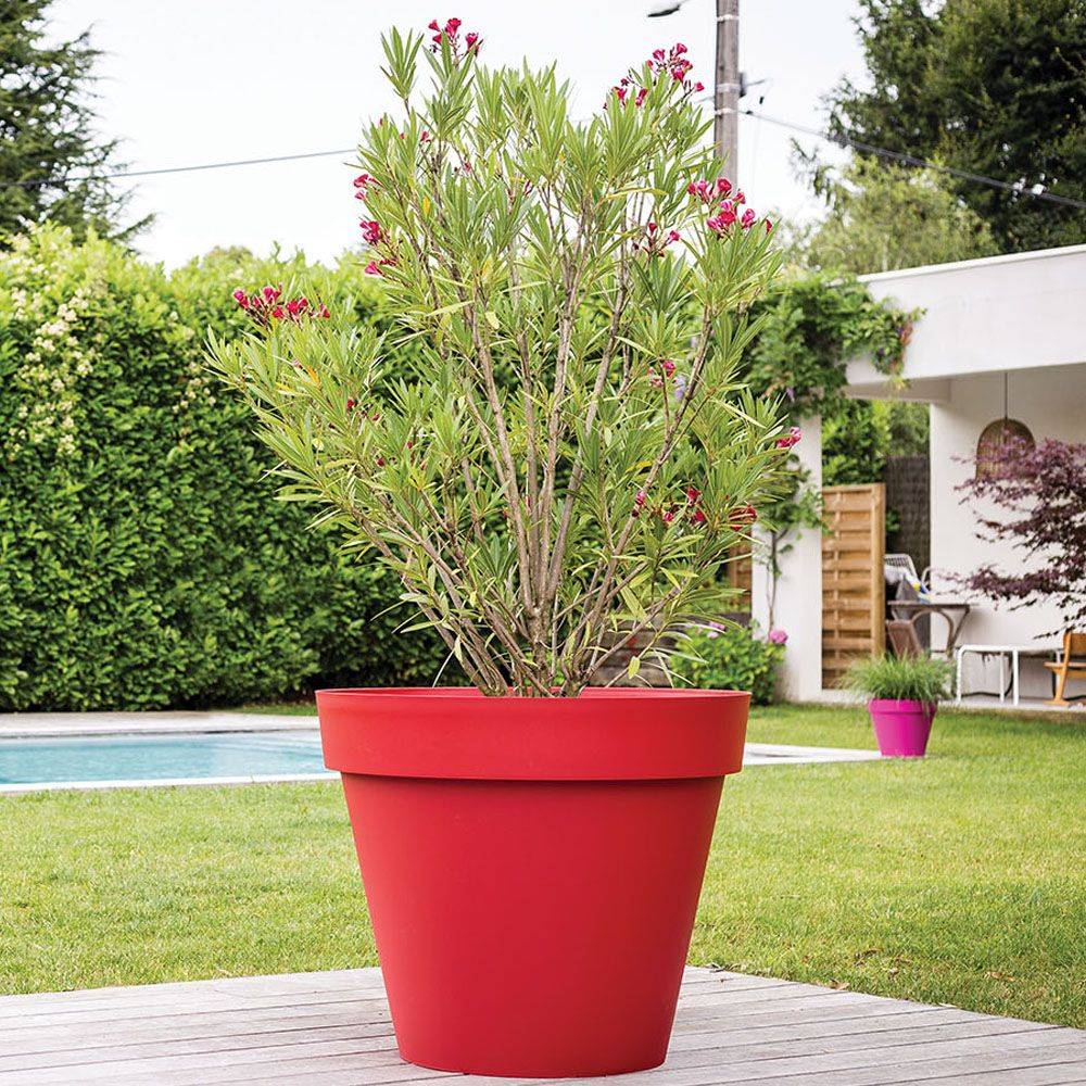 EDA Plastiques - Pot de fleurs rond Toscane rouge rubis – EDA - Image 1