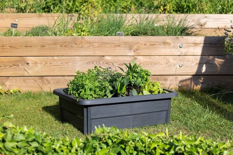 EDA Plastiques - Espace potager Veg&Table Garden - EDA - Image 4