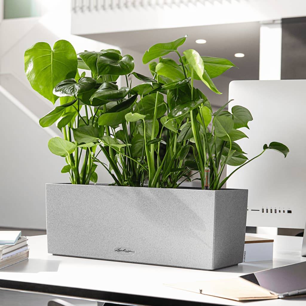 Jardinière Lechuza L50 H19 cm gris pierre - Image 13
