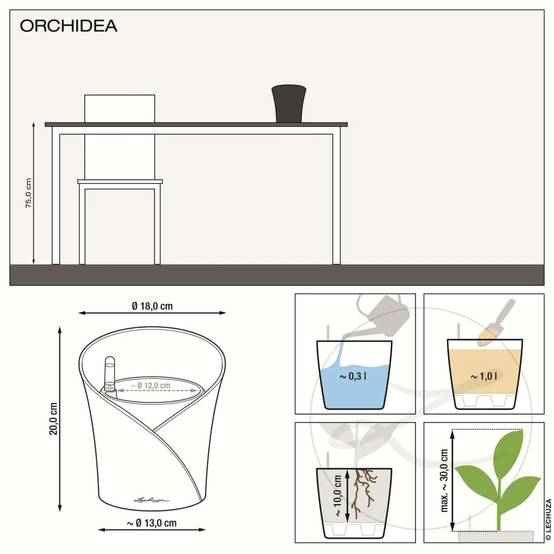 Lechuza - Lechuza - Orchidea kit complet gris mat L.18 x l.18 x H.20 cm - Image 2