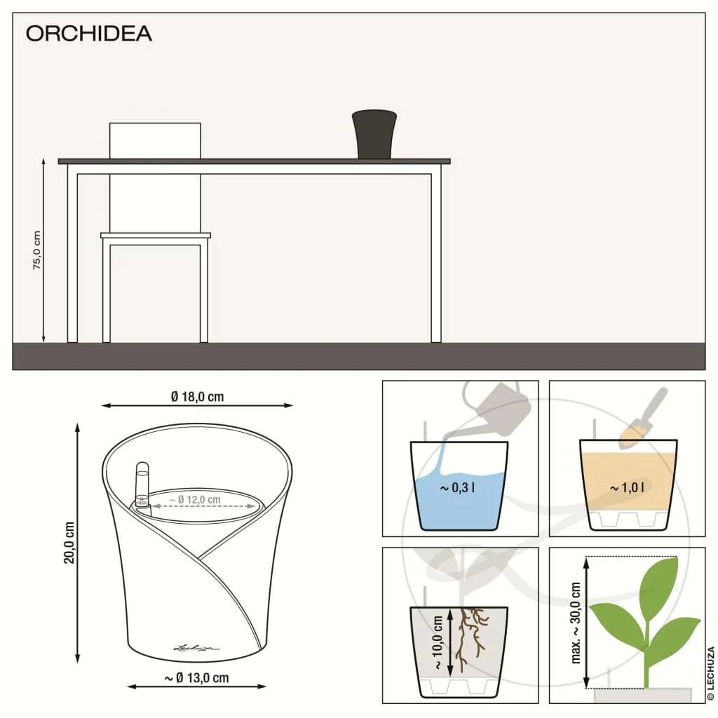 Lechuza - Lechuza - Orchidea kit complet gris mat L.18 x l.18 x H.20 cm - Image 2
