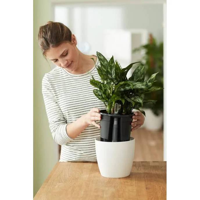 Système d'auto-arrosage Insert Polypropylène Noir Ø 33 cm - ELHO - Image 3