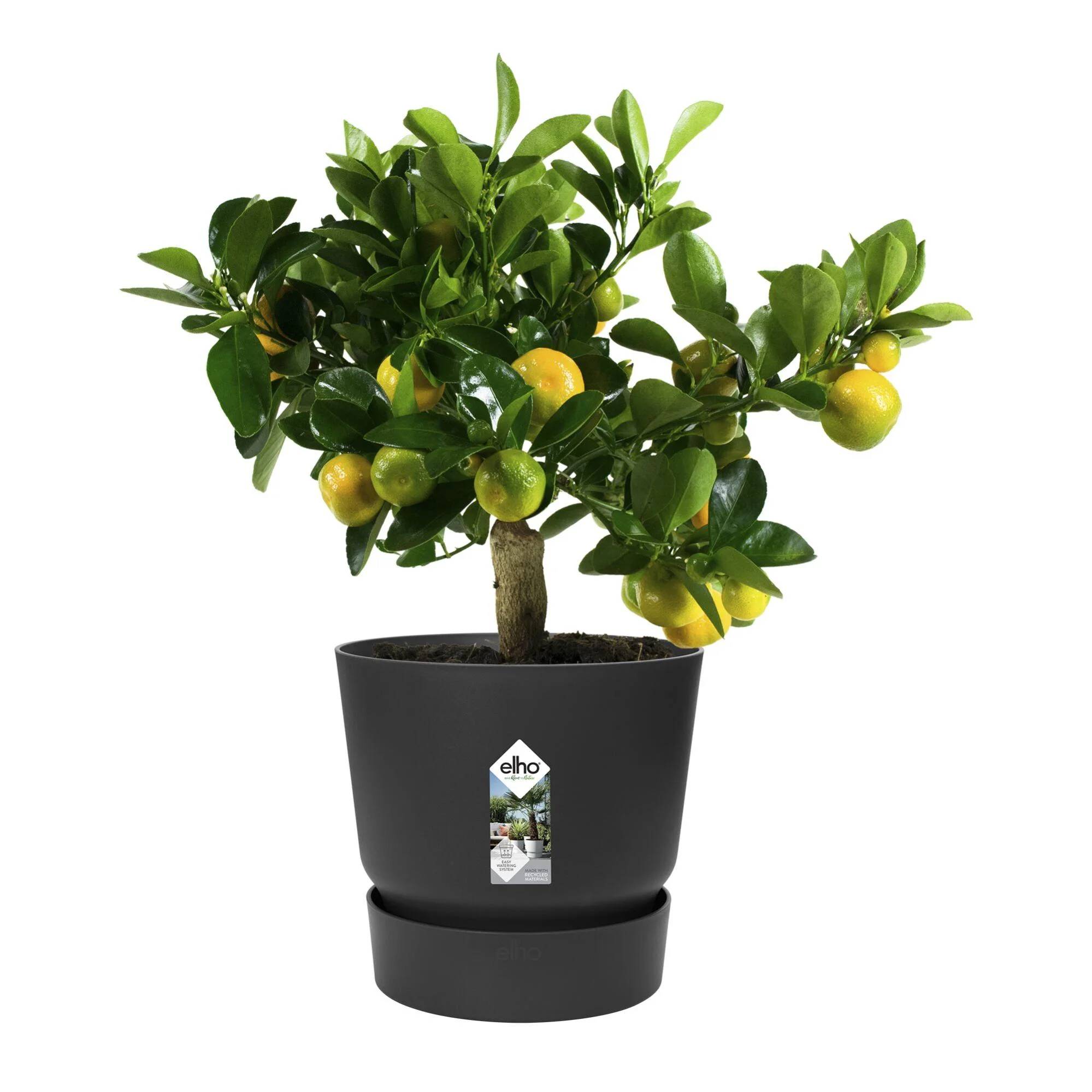 Elho - Pot de fleurs rond plastique recyclé living noir Ø. 30 x H.28 cm Greenville – ELHO - Image 7