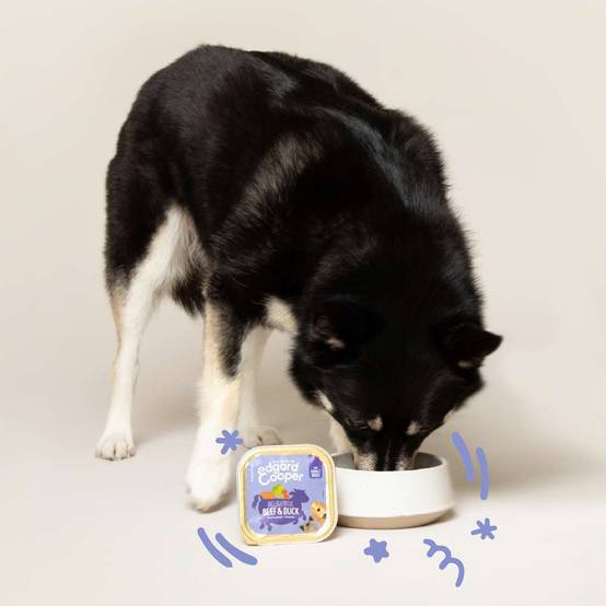 Edgard & Cooper - Pâtée chien adulte sans céréales boeuf canard 150 g - Edgard & Cooper - Image 12