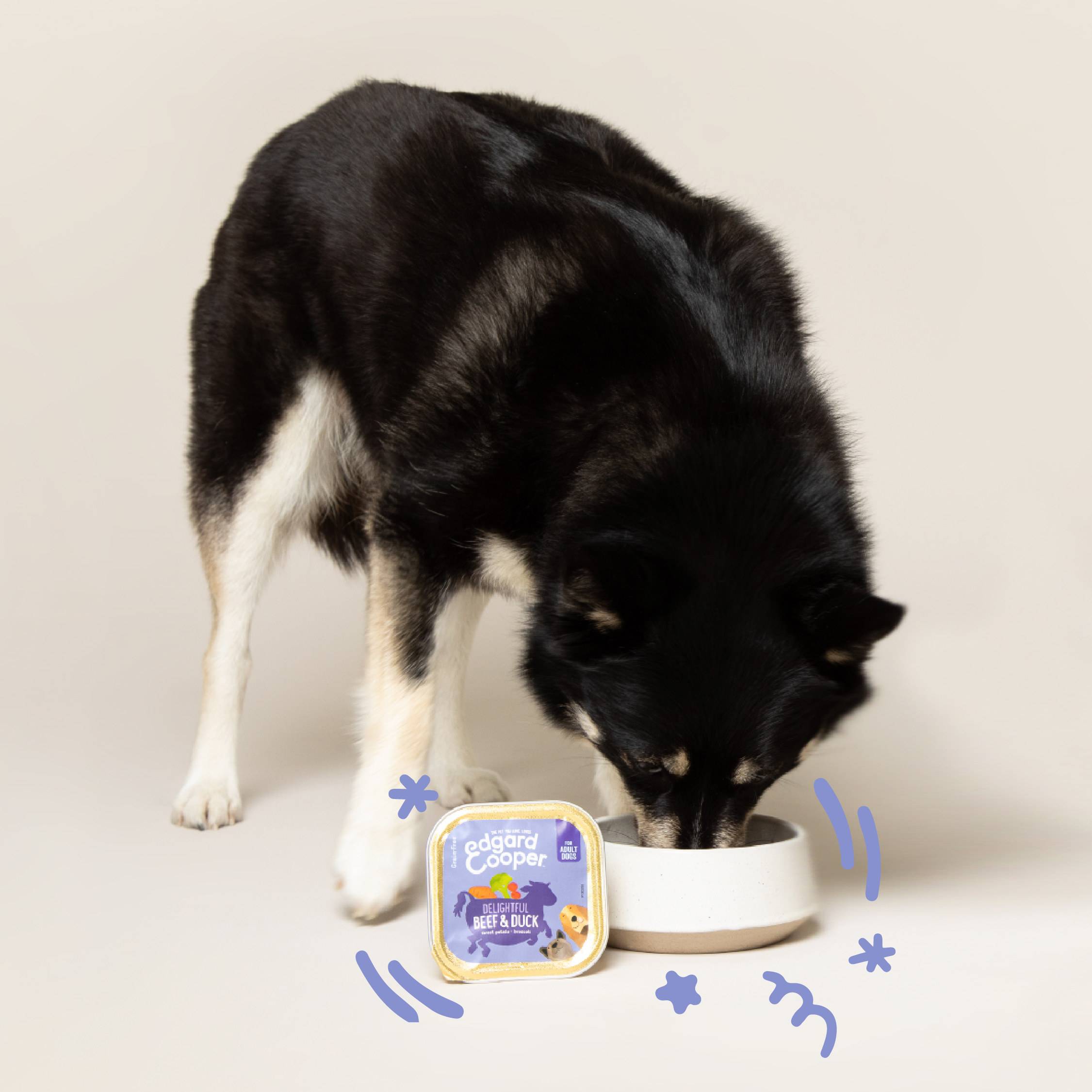 Edgard & Cooper - Pâtée chien adulte sans céréales boeuf canard 150 g - Edgard & Cooper - Image 2