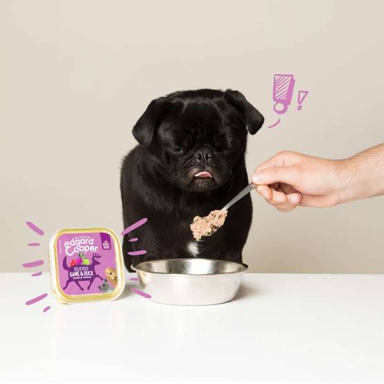 Edgard & Cooper - Pâtée chien adulte sans céréales gibier canard 150 g - Edgard & Cooper - Image 9