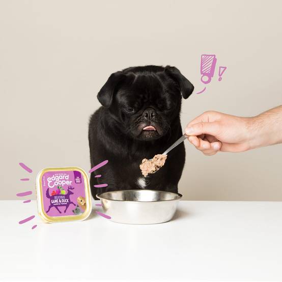 Edgard & Cooper - Pâtée chien adulte sans céréales gibier canard 150 g - Edgard & Cooper - Image 2