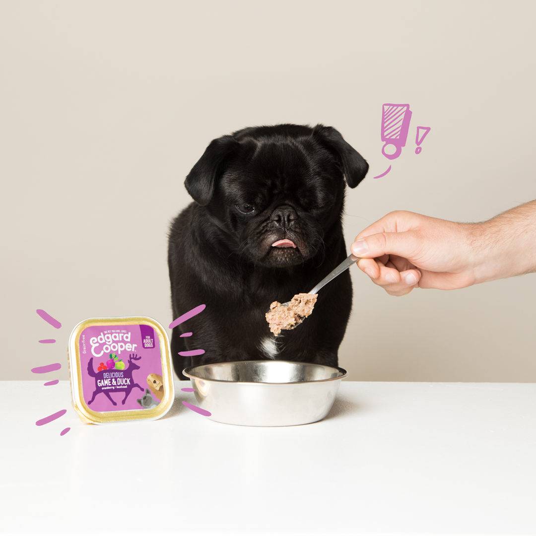 Edgard & Cooper - Pâtée chien adulte sans céréales gibier canard 150 g - Edgard & Cooper - Image 2