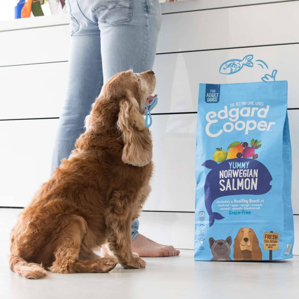 Edgard & Cooper - Croquettes chien adulte sans céréales saumon 2,5 kg - Edgard & Cooper - Image 6