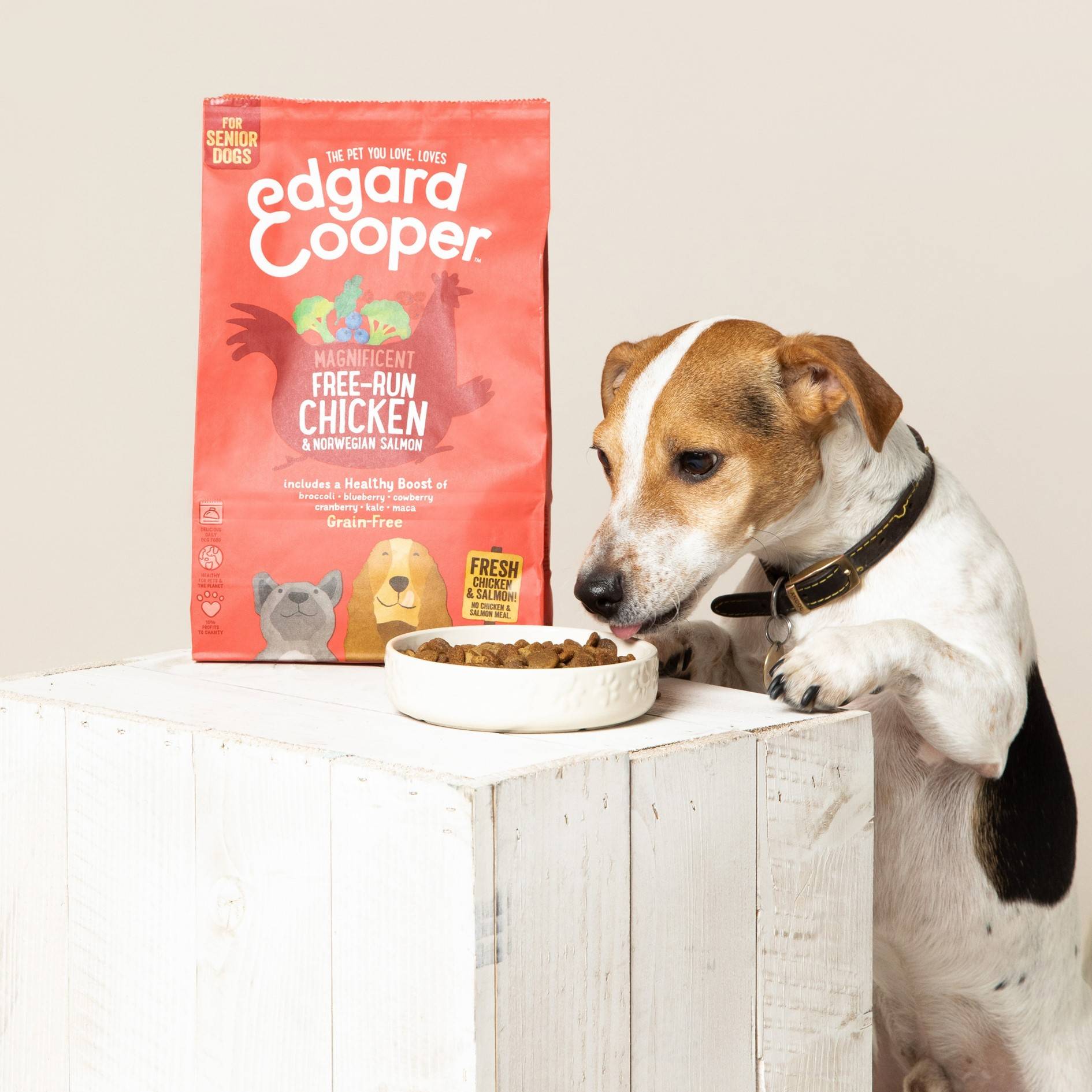 Edgard & Cooper - Croquettes chien senior sans céréales poulet saumon 7 kg - Edgard & Cooper - Image 11