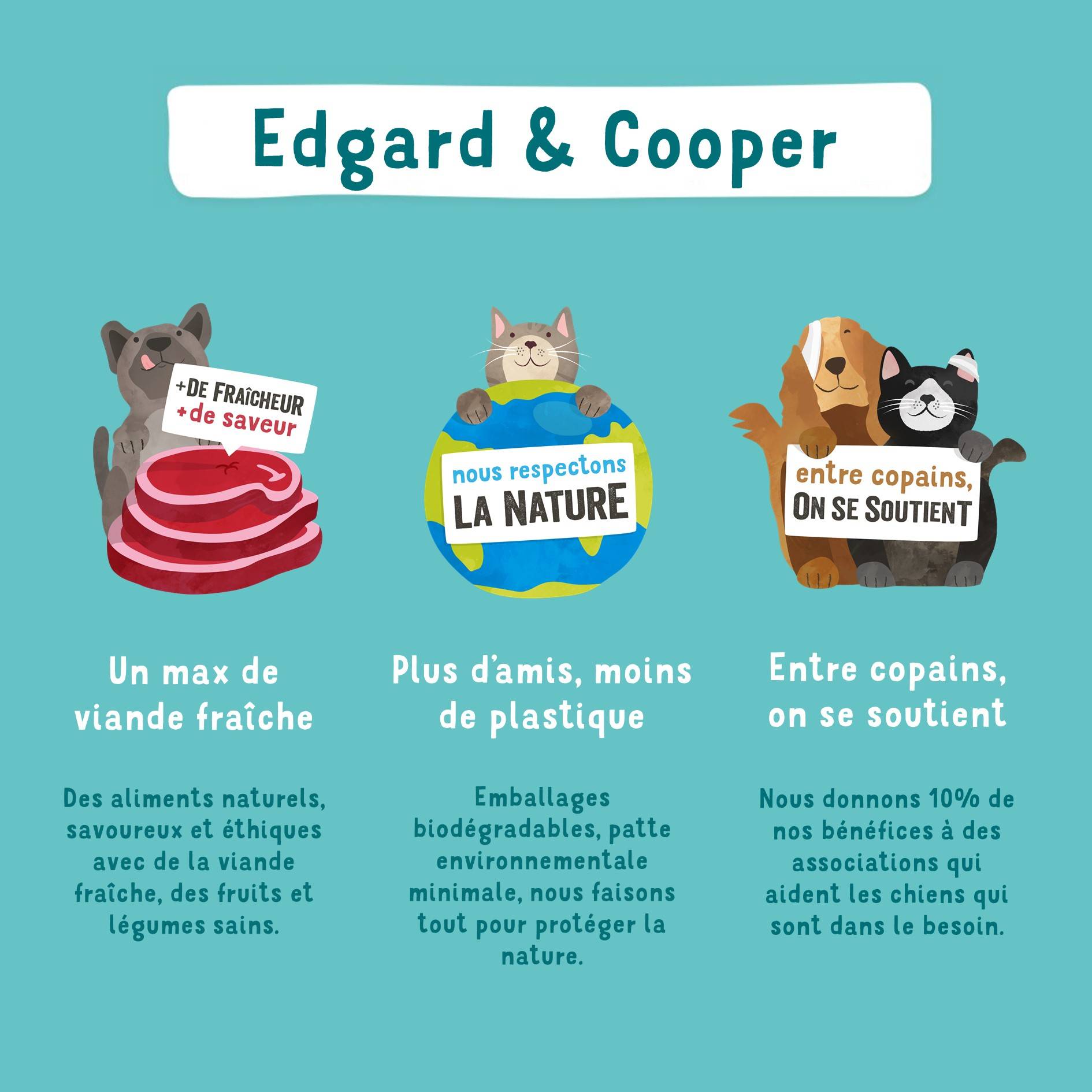 Edgard & Cooper - Croquettes chien adulte sans céréales bio poulet dinde 2 kg - Edgard & Cooper - Image 2
