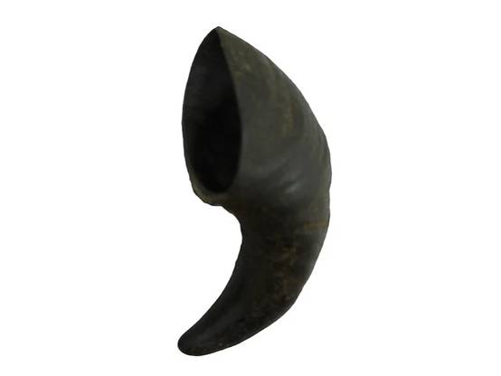 Bubimex - Corne de Buffle à mâcher - Taille S - Image 3