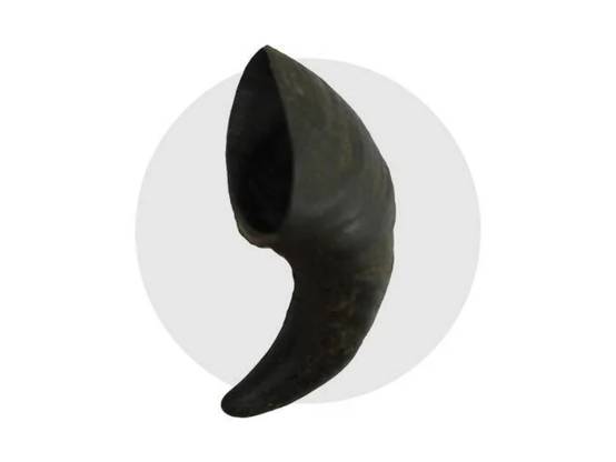 Bubimex - Corne de Buffle à mâcher - Taille S - Image 4
