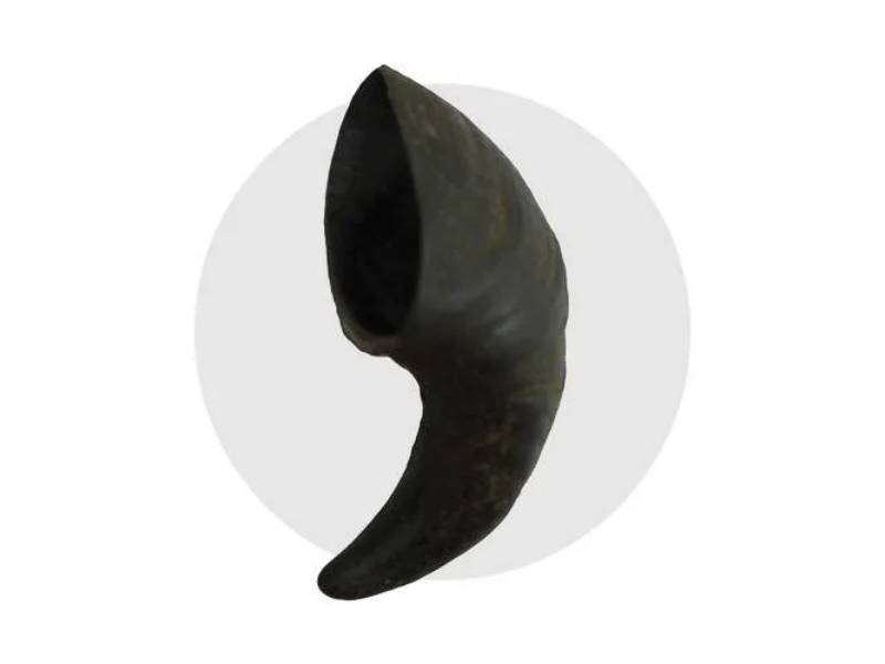 Bubimex - Corne de Buffle à mâcher - Taille S - Image 4