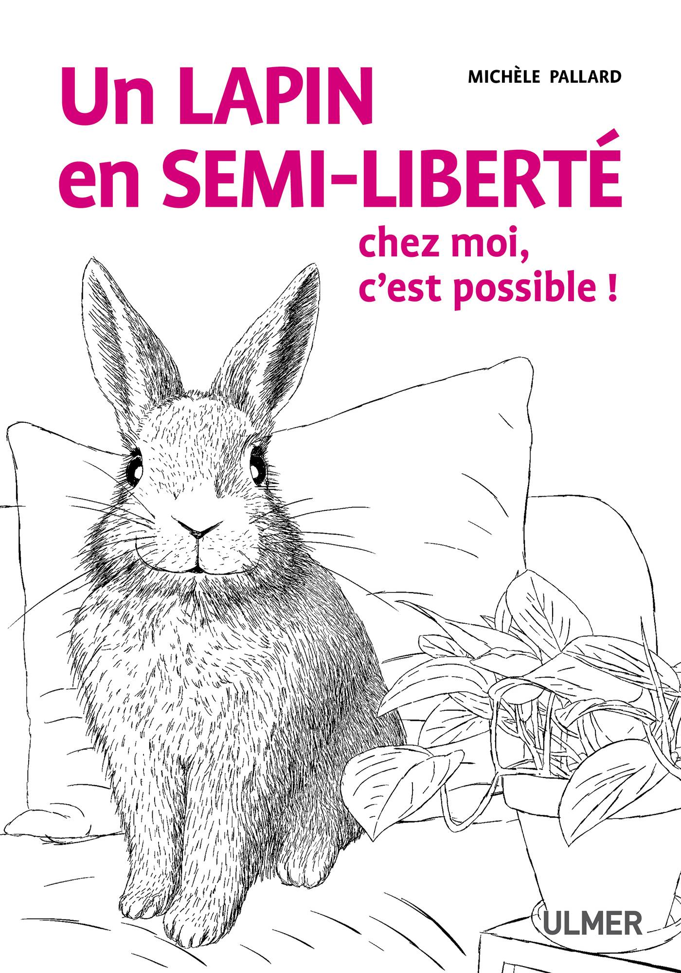 Ulmer - Un lapin en semi-liberté chez moi, c'est possible!