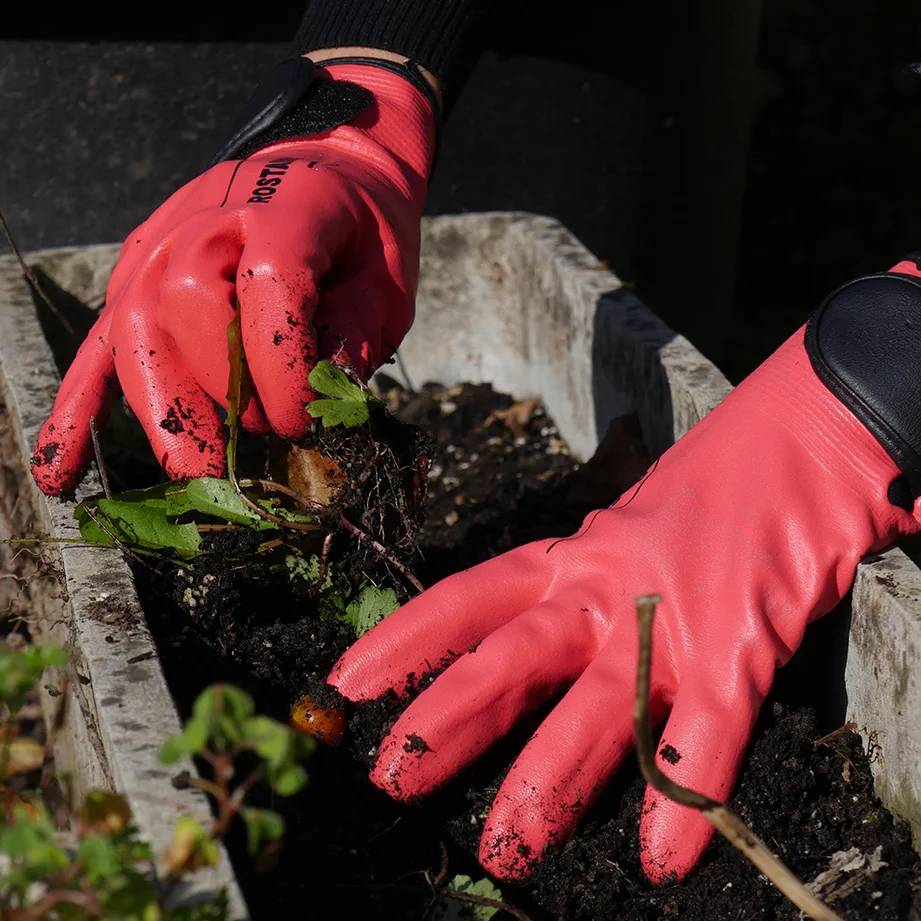 Rostaing - Gant Jardinage Femme Nitrile - ROSTAING - Image 2