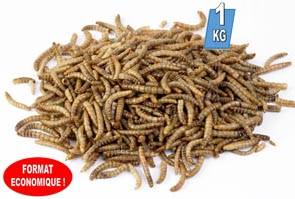 Lifland - Vers de farine déshydratés 1 kg - Image 1