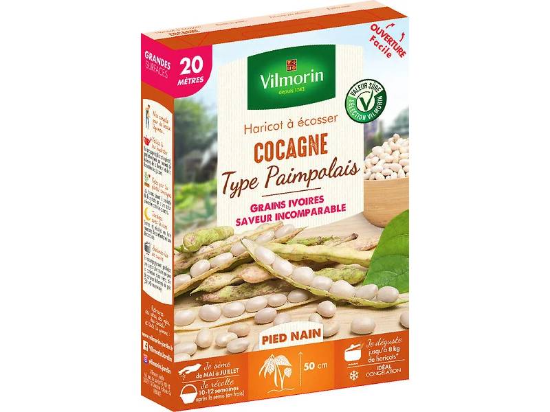 Vilmorin - Haricot cocagne type paimpolais série 20m sachet graines 198 g - Vilmorin - Image 2