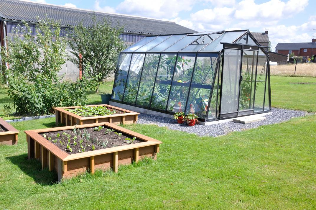 ACD Pro - Serre de jardin aluminium verre - ACD - Image 3