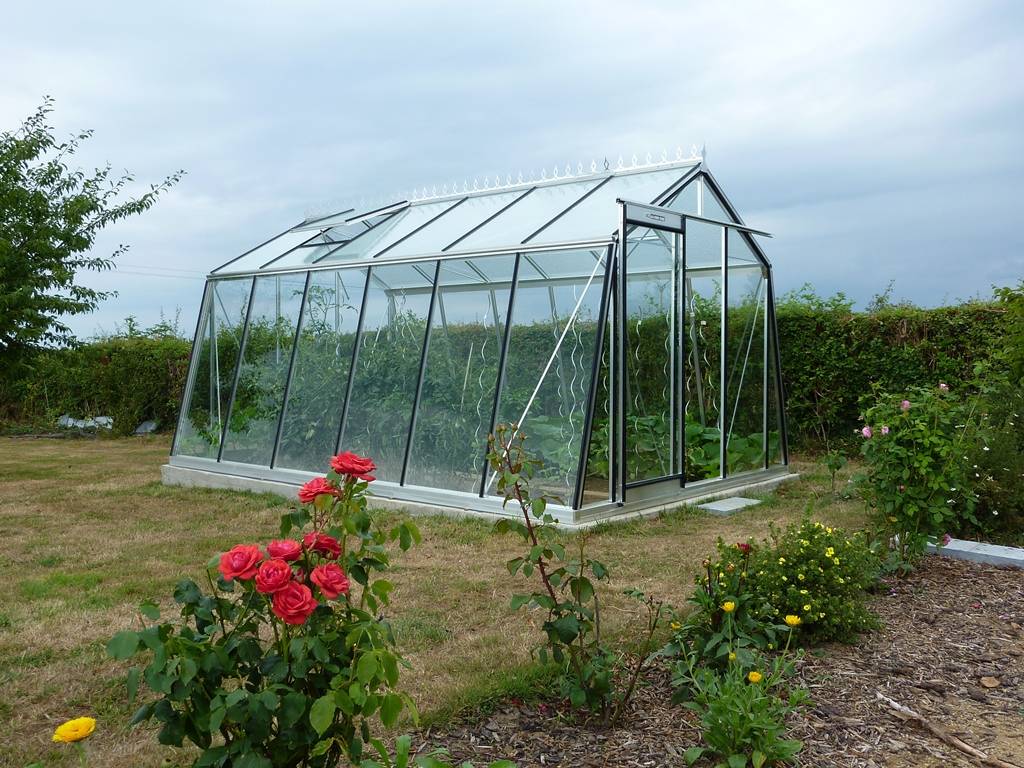 ACD Pro - Serre de jardin aluminium verre - ACD - Image 2