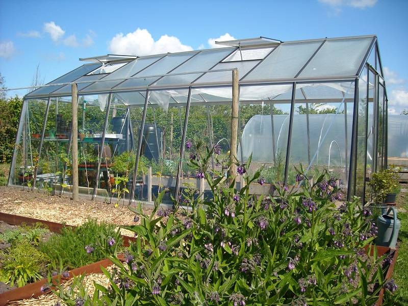 ACD Pro - Serre de jardin verre trempé aluminium brut 22,53 m² Prestige S208H Aluline avec embase - ACD Pro - Image 1