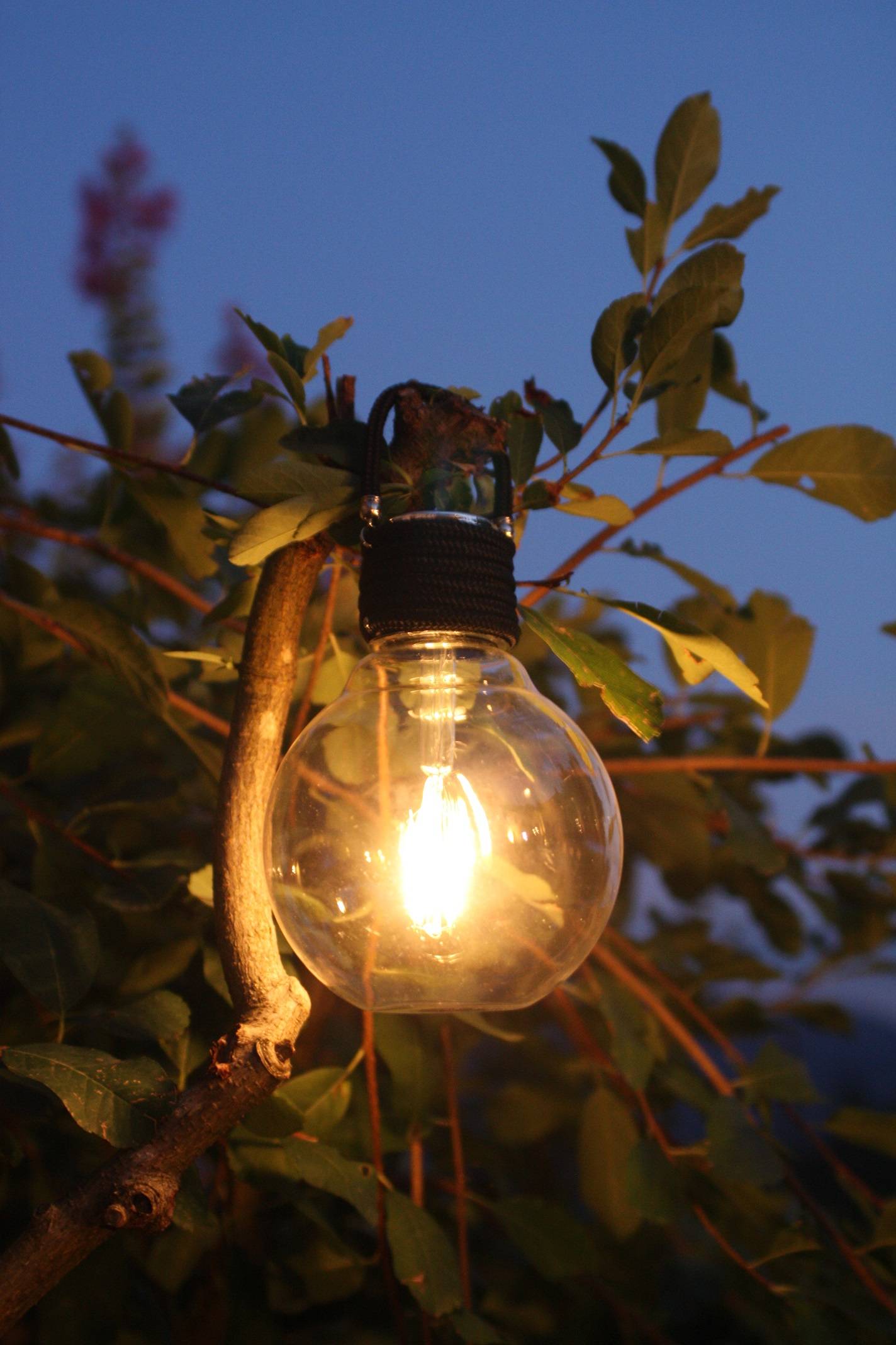 Watt & Home - Ampoule LED solaire design anthracite Ø 11,5 cm H 17 cm - WATT & HOME - Image 3