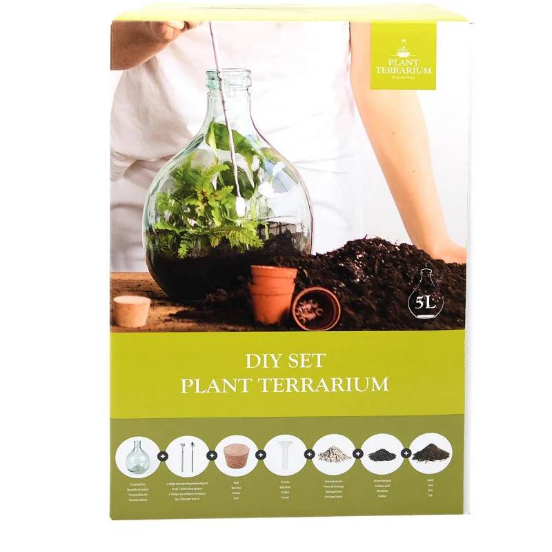Kit Terrarium Plantes DIY Complet Bouteille Verre Recyclé Transparent 5L - Image 4