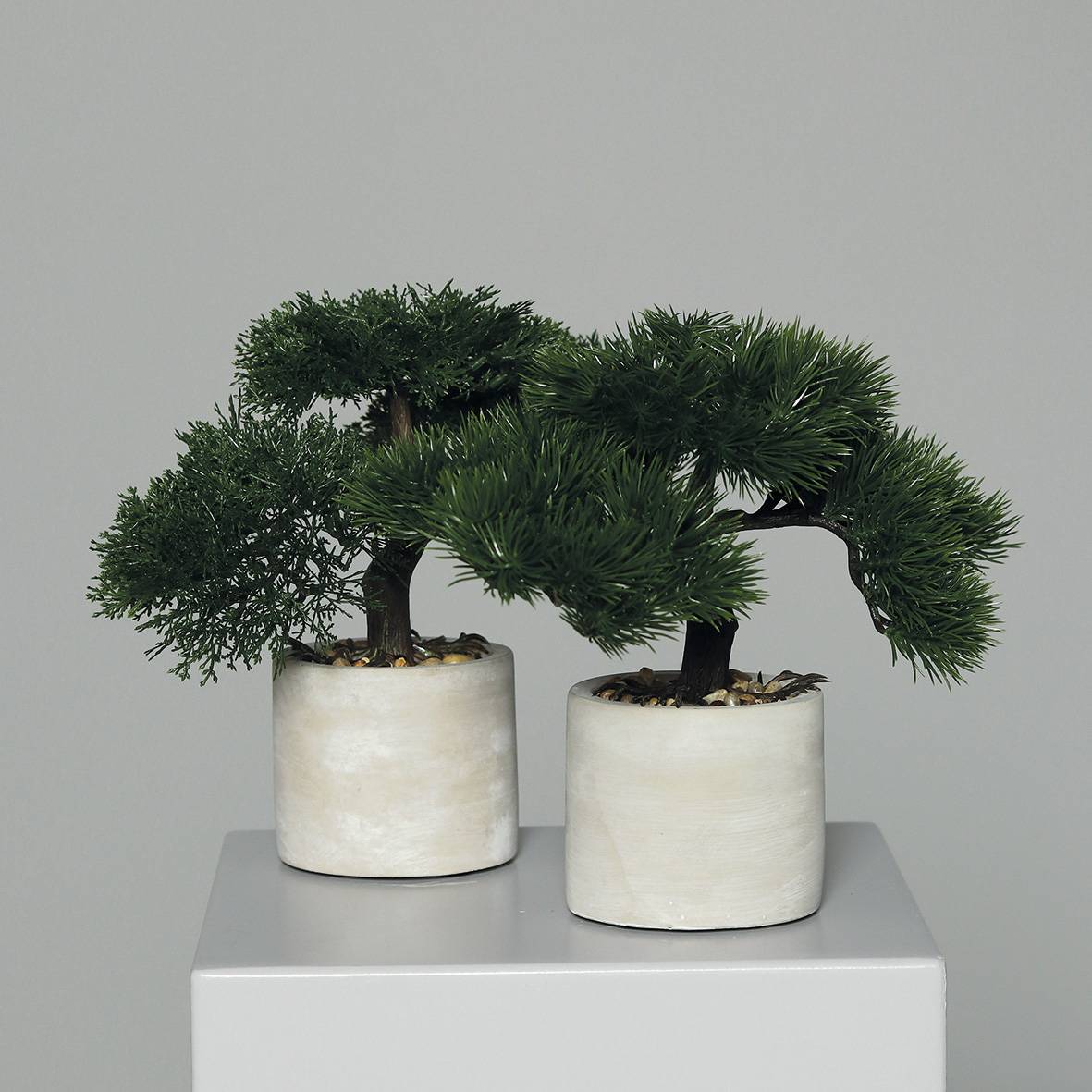 DPI - Bonsaï artificiel en pot ciment H.25 cm