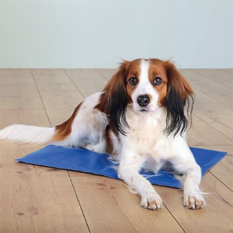 Anka - Tapis avec gel rafraîchissant pour chien L.64 x l.48