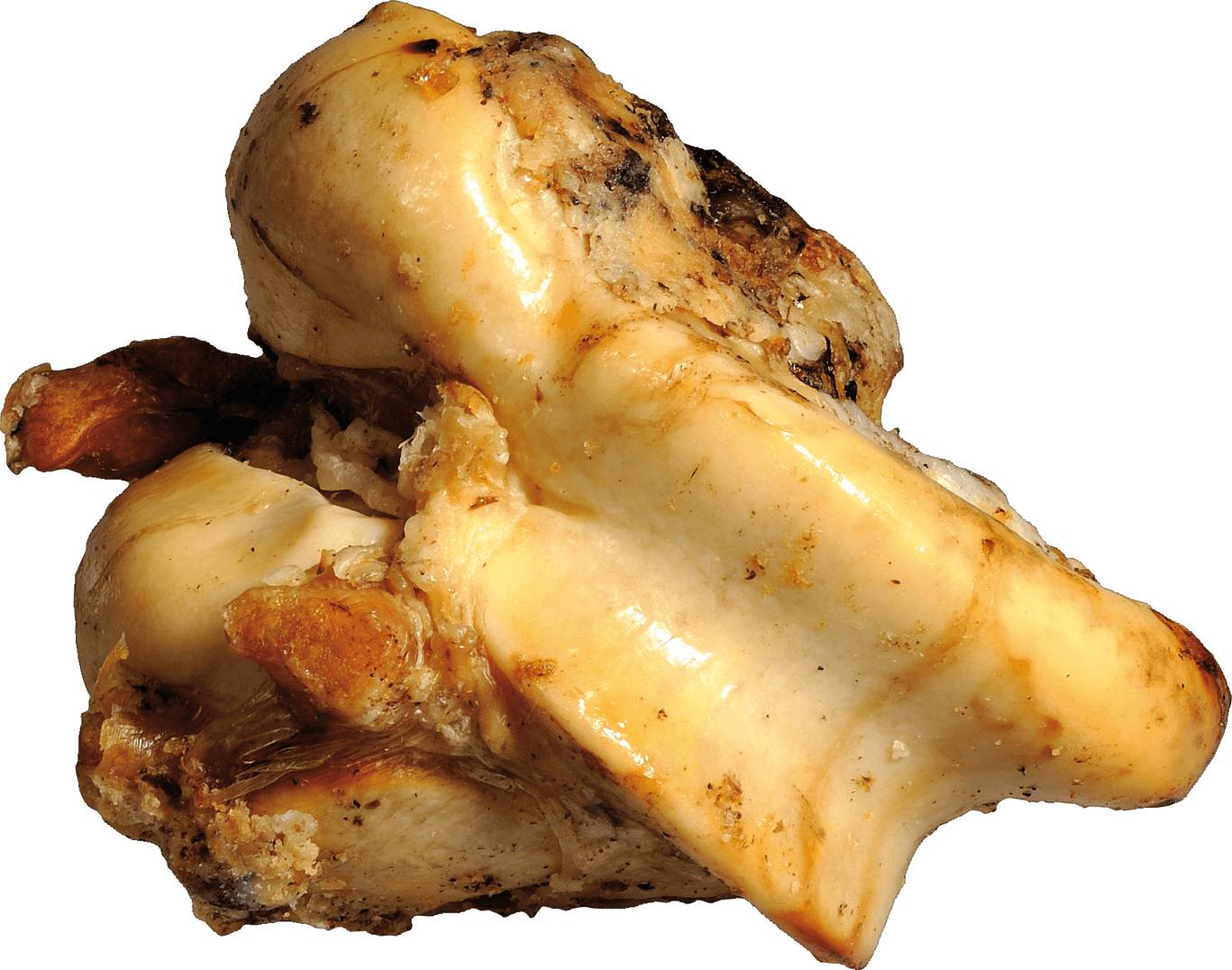 Bubimex - Bubimex - Os de bœuf fumé T-Rex 600 g