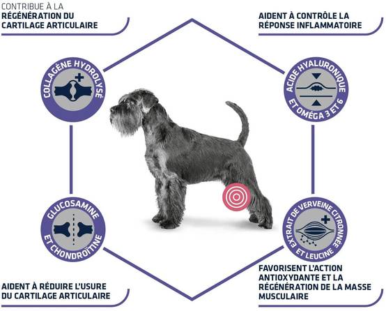 Croquette chien senior Articular Care 12 kg - ADVANCE Veterinary Diets - Image 4