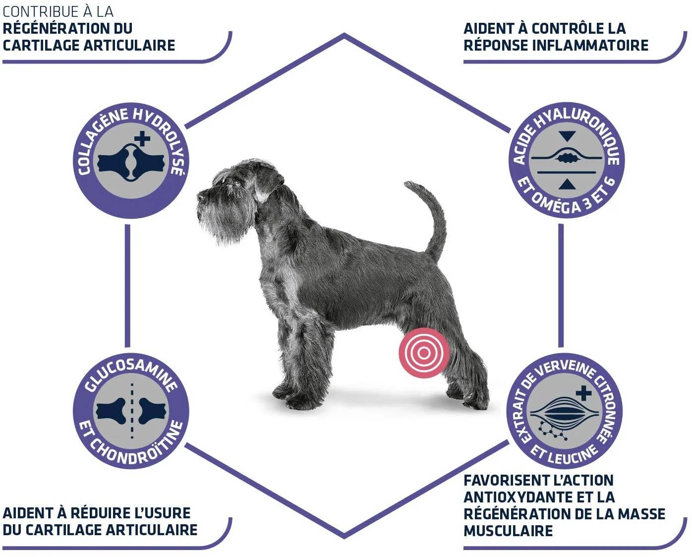 Croquette chien senior Articular Care 12 kg - ADVANCE Veterinary Diets - Image 4