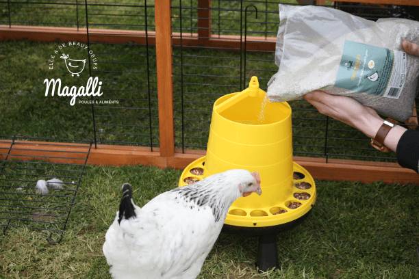 Magalli - Magalli - Grit poules 5 kg - Image 3