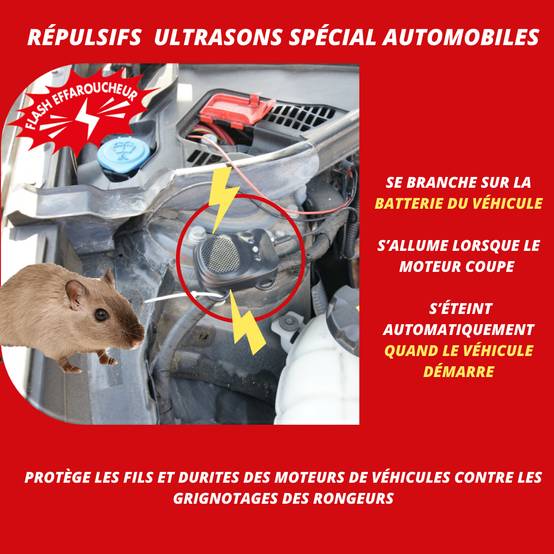 Répulsif ultrasons martres rats souris spécial auto - RETRO - Image 2