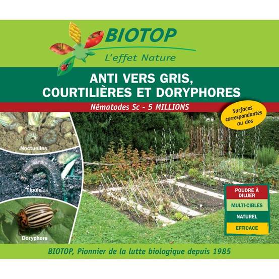 Greenapy - Nématodes Steinernema carpocapsae Anti Vers gris et Doryphores boîte de 5 millions - Greenapy - Image 7