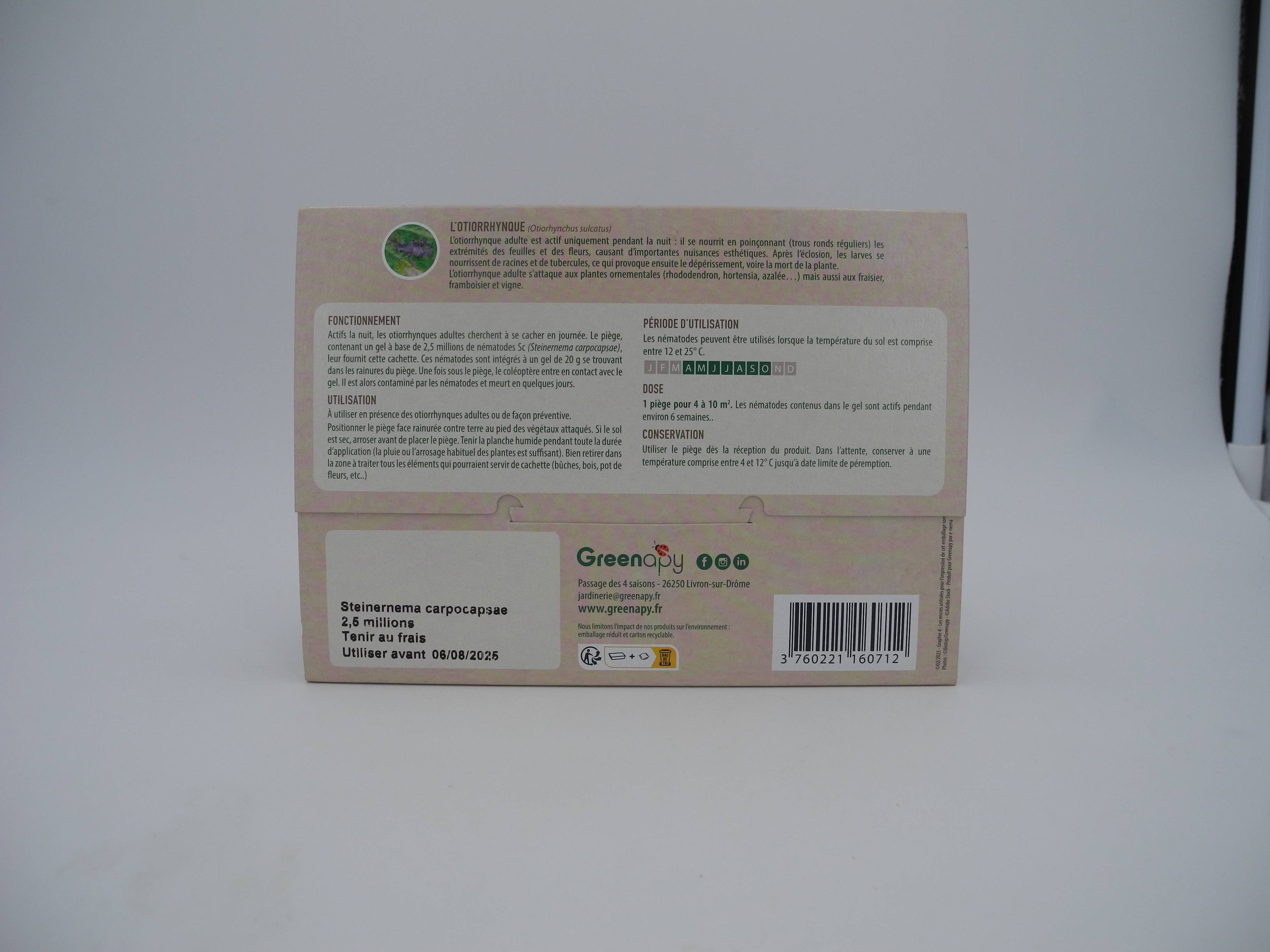 Greenapy - Piège nématodes contre les Otiorrhynques adultes 1 piège - Greenapy - Image 10