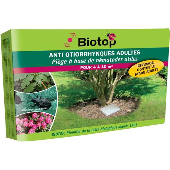 Greenapy - Piège nématodes contre les Otiorrhynques adultes 1 piège - Greenapy - Image 6
