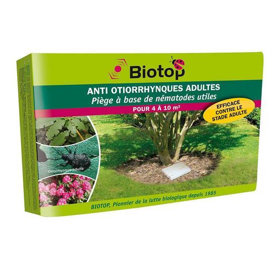 Greenapy - Piège nématodes contre les Otiorrhynques adultes 1 piège - Greenapy - Image 7