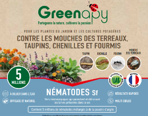 Greenapy - Nématodes Steinernema feltiae anti mouche terreaux taupins chenilles boîte de 5 millions - Greenapy - Image 1