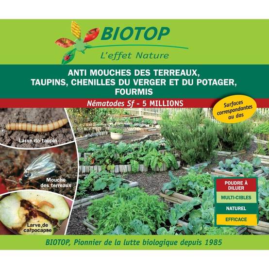 Greenapy - Nématodes Steinernema feltiae anti mouche terreaux taupins chenilles boîte de 5 millions - Greenapy - Image 6