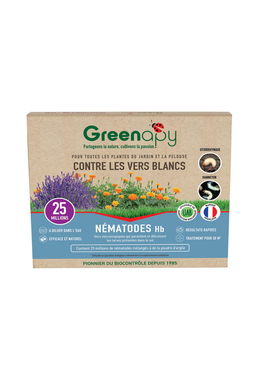Greenapy - Nématodes anti vers blancs Heterorhabditis bacteriophora boîte de 25 millions - Greenapy - Image 1