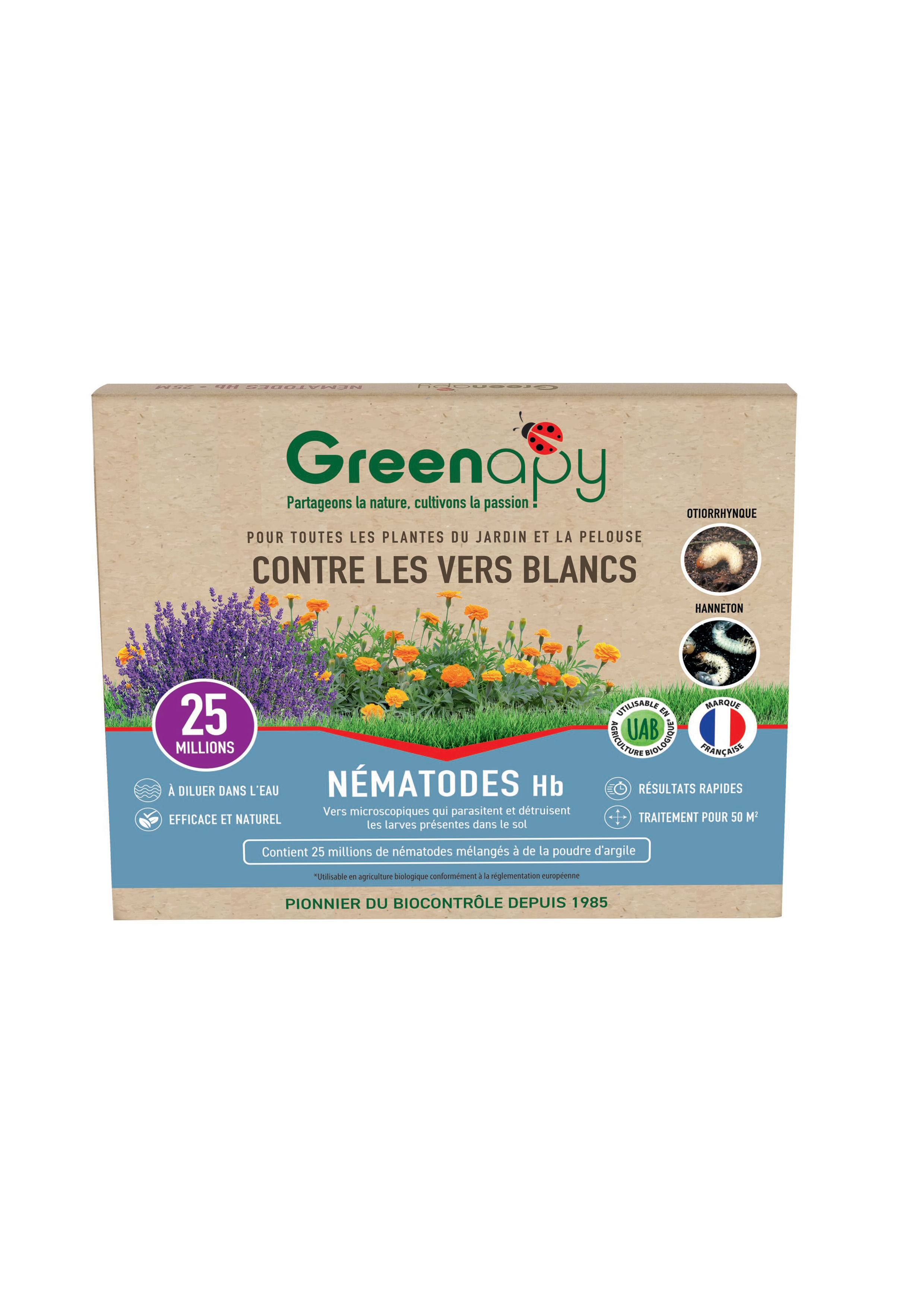 Greenapy - Nématodes anti vers blancs Heterorhabditis bacteriophora boîte de 25 millions - Greenapy - Image 1