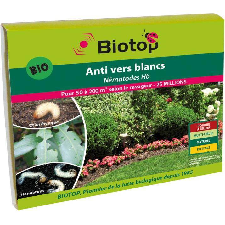 Greenapy - Nématodes anti vers blancs Heterorhabditis bacteriophora boîte de 25 millions - Greenapy - Image 7