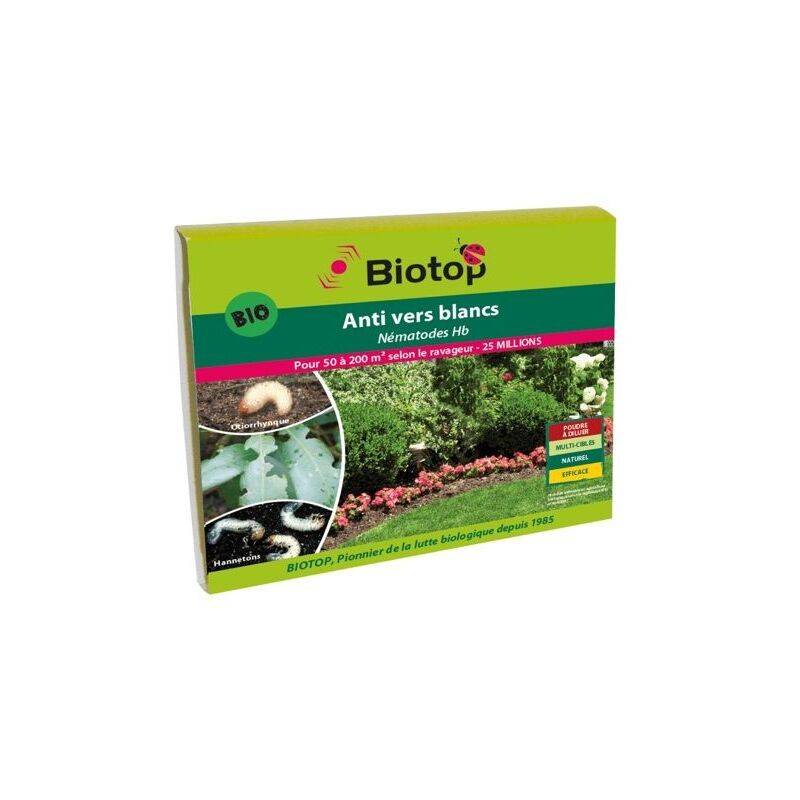 Greenapy - Nématodes anti vers blancs Heterorhabditis bacteriophora boîte de 25 millions - Greenapy - Image 2