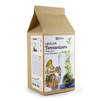 Terrarium Savane – TERRARIUM DE LA SAVANE