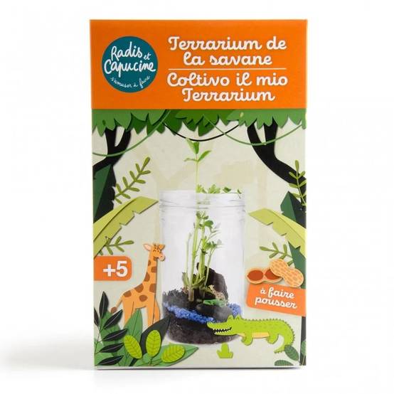 Terrarium Savane – TERRARIUM DE LA SAVANE - Image 5