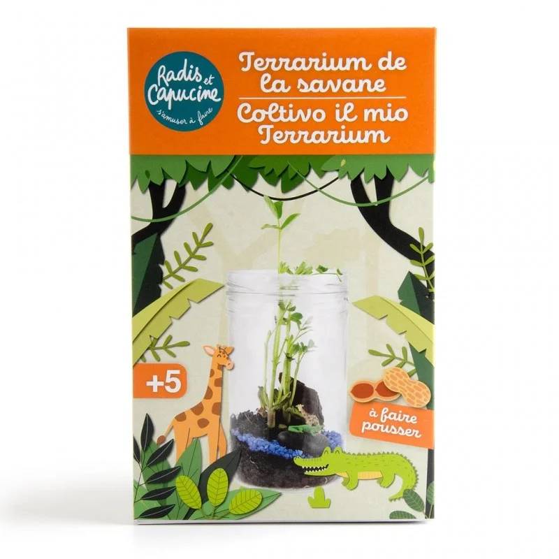 Terrarium Savane – TERRARIUM DE LA SAVANE - Image 5